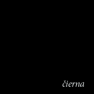 #elbyt drevená stolička R 17